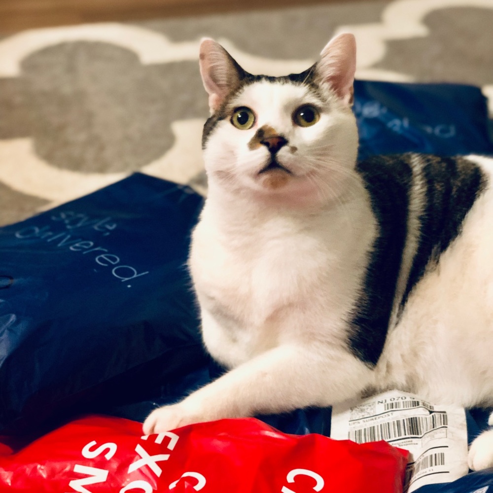 Meet your Posher, Angela